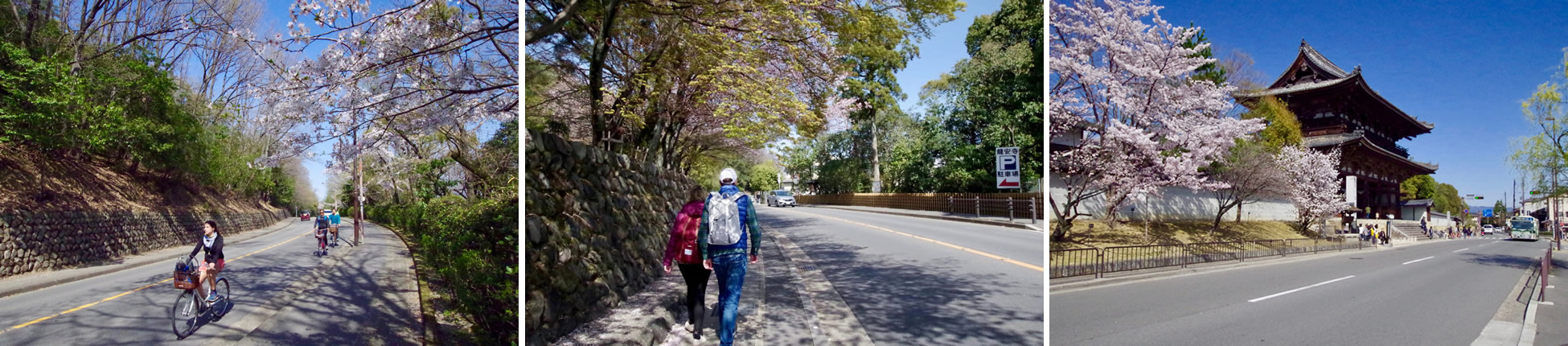 金閣寺から龍安寺へ抜けるきぬかけの路をたくさんの観光客が歩いていました。春や秋の天気の良い日でしたら歩いて行くのもおすすめです。
